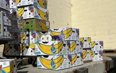 4 Ways The Salem Pantry Works With Our Local Community to Rescue Food