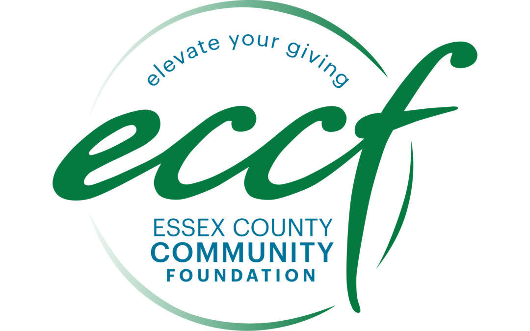 Nonprofits reveal impacts and concerns over funding cuts and current landscape | Essex Country Community Foundation