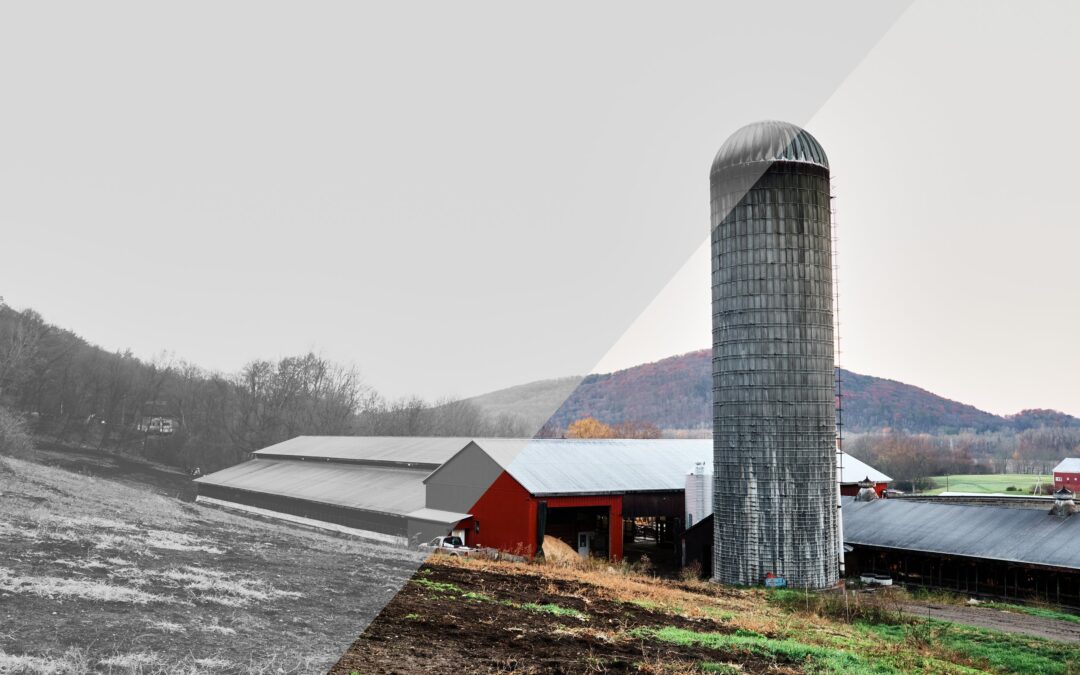 Broken Promises: Sudden Cuts to Federal Food Funding Cause Chaos For Farmers and Jeopardize Food Security | edible Boston